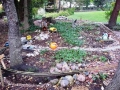 webphotos2_107